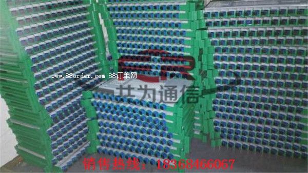 wP-24оһwбP