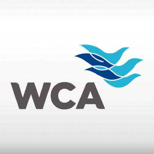 WCAJCҪҎ(gu)ܵĆ}_WCASԃ˾