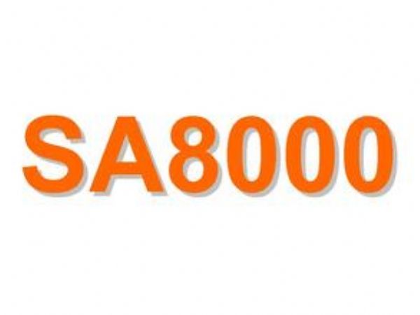 ݻͬԃSA8000(yn)Sͯx(yng)SA8000ͯ