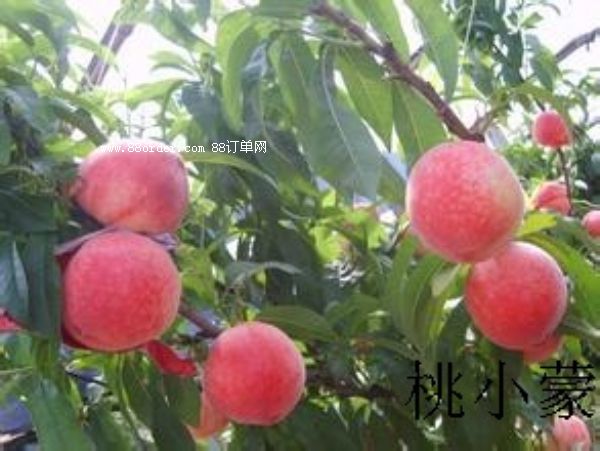 _СҴЇʳƷȫĵ䷶ˮƷ