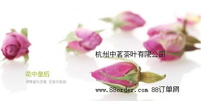 õ廨l(f) (gu)M(jn)ؼ(j)ڷmõ