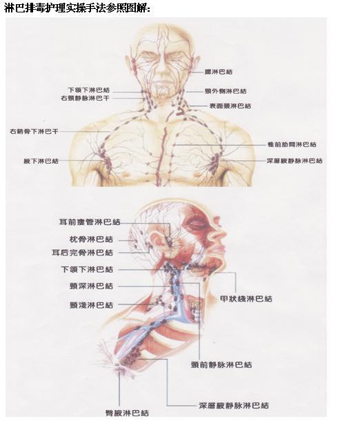 淋巴排毒護理實操手法