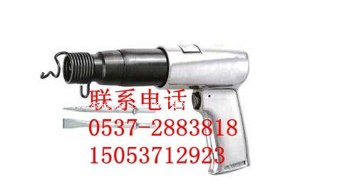 DS-190P L(fng)P